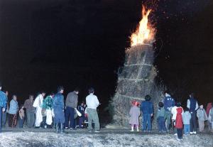 청양 정산동화제(靑陽 定山洞火祭)