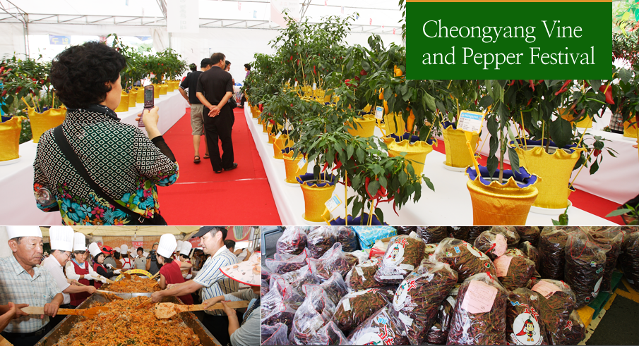 Cheongyang Vine and Pepper Festival