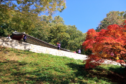 가을 풍경의 장곡사에서 기념사진 촬영 중인 관광객들의 모습1