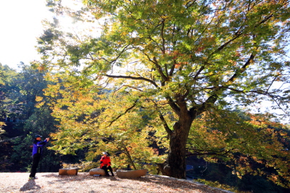 가을 풍경의 장곡사에서 기념사진 촬영 중인 관광객들의 모습2
