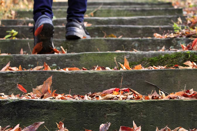 고운식물원의 낙엽쌓인 계단