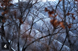 칠갑산 겨울풍경1